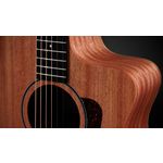 Taylor 24ce Grand Auditorium