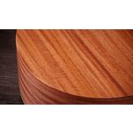 Taylor 24ce Grand Auditorium