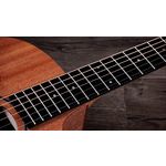 Taylor 24ce Grand Auditorium