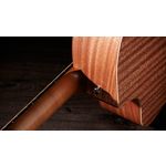 Taylor 24ce Grand Auditorium