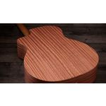 Taylor 24ce Grand Auditorium