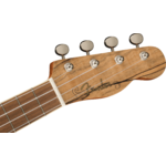 Fender Zuma Exotic Concert Ukulele, Walnut Fingerboard, Spalted Maple