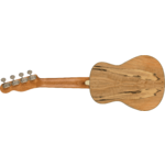 Fender Zuma Exotic Concert Ukulele, Walnut Fingerboard, Spalted Maple