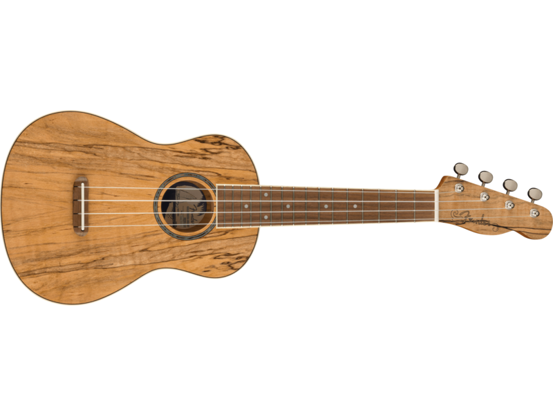 Fender Zuma Exotic Concert Ukulele, Walnut Fingerboard, Spalted Maple