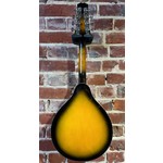 Pre Loved Stretton Payne Mandolin