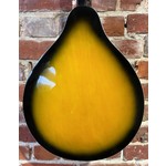 Pre Loved Stretton Payne Mandolin