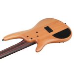 Ibanez SR1455DW-TGF SR Premium 5-String Bass Transparent Grey Flat