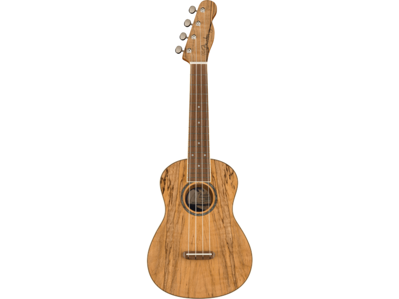 Fender Zuma Exotic Concert Ukulele, Walnut Fingerboard, Spalted Maple