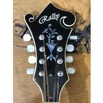 Pre Loved Rally F Style Mandolin with Case