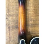 Pre Loved Rally F Style Mandolin with Case