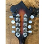 Pre Loved Rally F Style Mandolin with Case