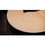 Taylor Next Generation 314ce Grand Auditorium Sapele / Sitka Acoustic-Electric Guitar