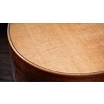Taylor 314ce Studio Electro Acoustic Natural
