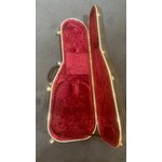 Pre Loved Hiscox SG Hardcase