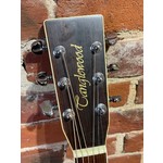 Pre Loved Tanglewood Earth 200 NS inc Hard Case