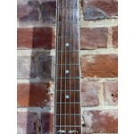 Pre Loved Tanglewood Earth 200 NS inc Hard Case