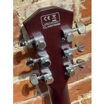 Pre Loved Sire Larry Carlton L7 Goldtop with Tourtech Hard Case