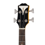 Epiphone Newport Bass California Coral