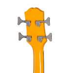 Epiphone Newport Bass California Coral