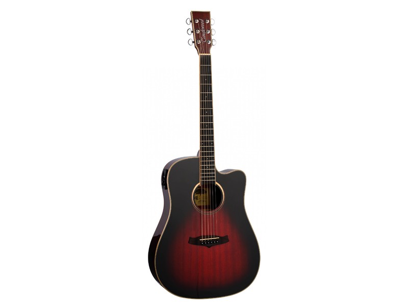 Tanglewood TW5CEAVB Winterleaf Dreadnought Autumn Vintage