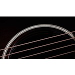Taylor Builders Edition 324ce Next Generation