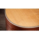 Taylor Gold Label 510e Electro Acoustic Guitar