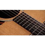 Taylor Gold Label 510e Electro Acoustic Guitar