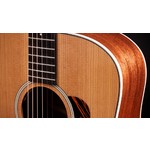Taylor Gold Label 510e Electro Acoustic Guitar
