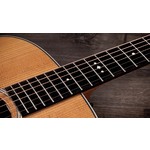 Taylor Gold Label 510e Electro Acoustic Guitar
