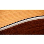Taylor Gold Label 510e Electro Acoustic Guitar