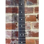 Pre Loved Fender American Professional II Telecaster Deluxe RW Mercury Inc Case