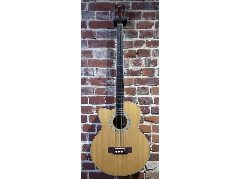 Pre Loved Countryman Electro Acoustic Bass Left Handed Inc Bag