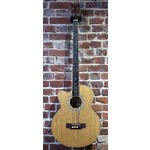 Pre Loved Countryman Electro Acoustic Bass Left Handed Inc Bag