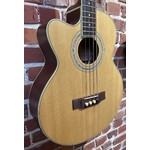 Pre Loved Countryman Electro Acoustic Bass Left Handed Inc Bag