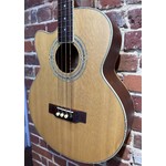 Pre Loved Countryman Electro Acoustic Bass Left Handed Inc Bag