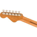 Fender Highway Series Parlor, Rosewood Fingerboard, All-Mahogany