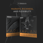 D'Addario Kaplan Amo Violin E String, 4/4 Scale, Medium Tension