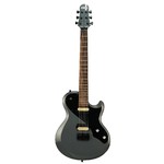 Shergold Guitar Provocateur Standard SP12 Solid Grey Gloss