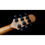 Shergold Guitar Provocateur Standard SP12 Solid Grey Gloss