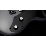 Shergold Guitar Provocateur Standard SP12 Solid Grey Gloss