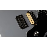 Shergold Guitar Provocateur Standard SP12 Solid Grey Gloss