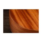 Taylor GS Mini Mahogany