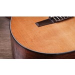 Taylor Sunset Blvd 312e-N Nylon Electro Special Edition