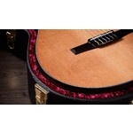 Taylor Sunset Blvd 312e-N Nylon Electro Special Edition