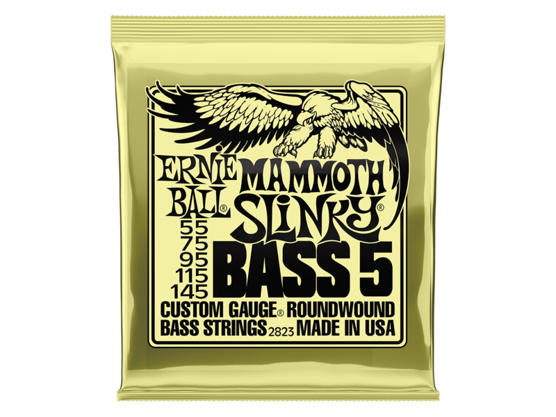 Ernie Ball Mammoth Slinky 5-String Bass Set 55-145