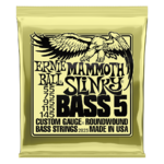 Ernie Ball Mammoth Slinky 5-String Bass Set 55-145