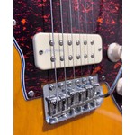 Pre Loved Revelation RJT60 LT Sunburst Inc Bag