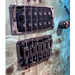 Pre Loved Ibanez RG421PB-CHF Caribbean Shoreline Flat