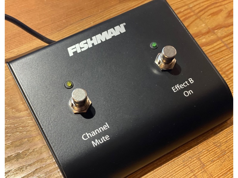 Pre Loved Fishman Dual Footswitch for Loudbox Amplifiers