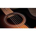 Taylor 114ce Special Edition Dark Tobacco Burst